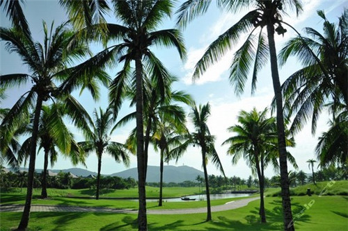 掊兵而去怎么读（兵也兵的意思）