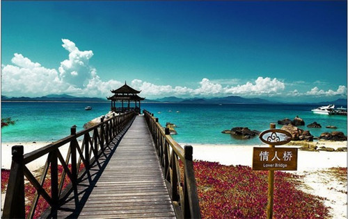 减脂可以吃炒鸡脖吗（减肥可以吃炒鸡吗）